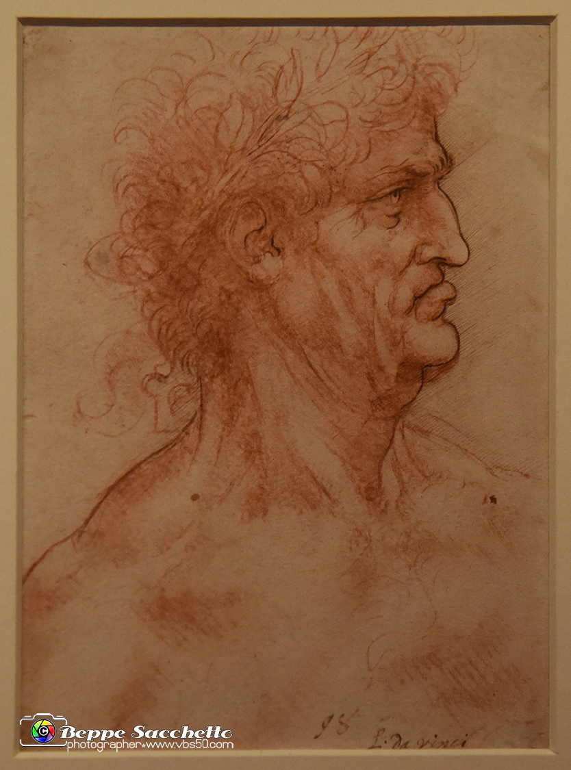 VBS_9772 - Mostra A tu per tu con Leonardo.jpg
